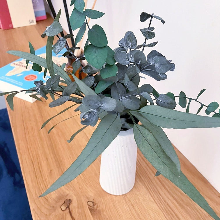 Minikytice ze stabilizovaného eukalyptu