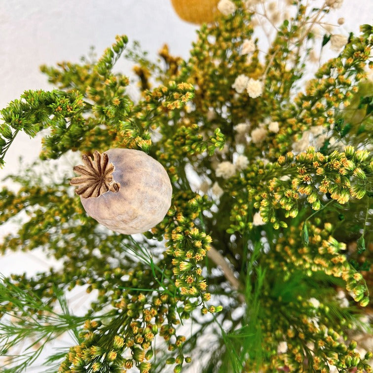 stabilizované květiny