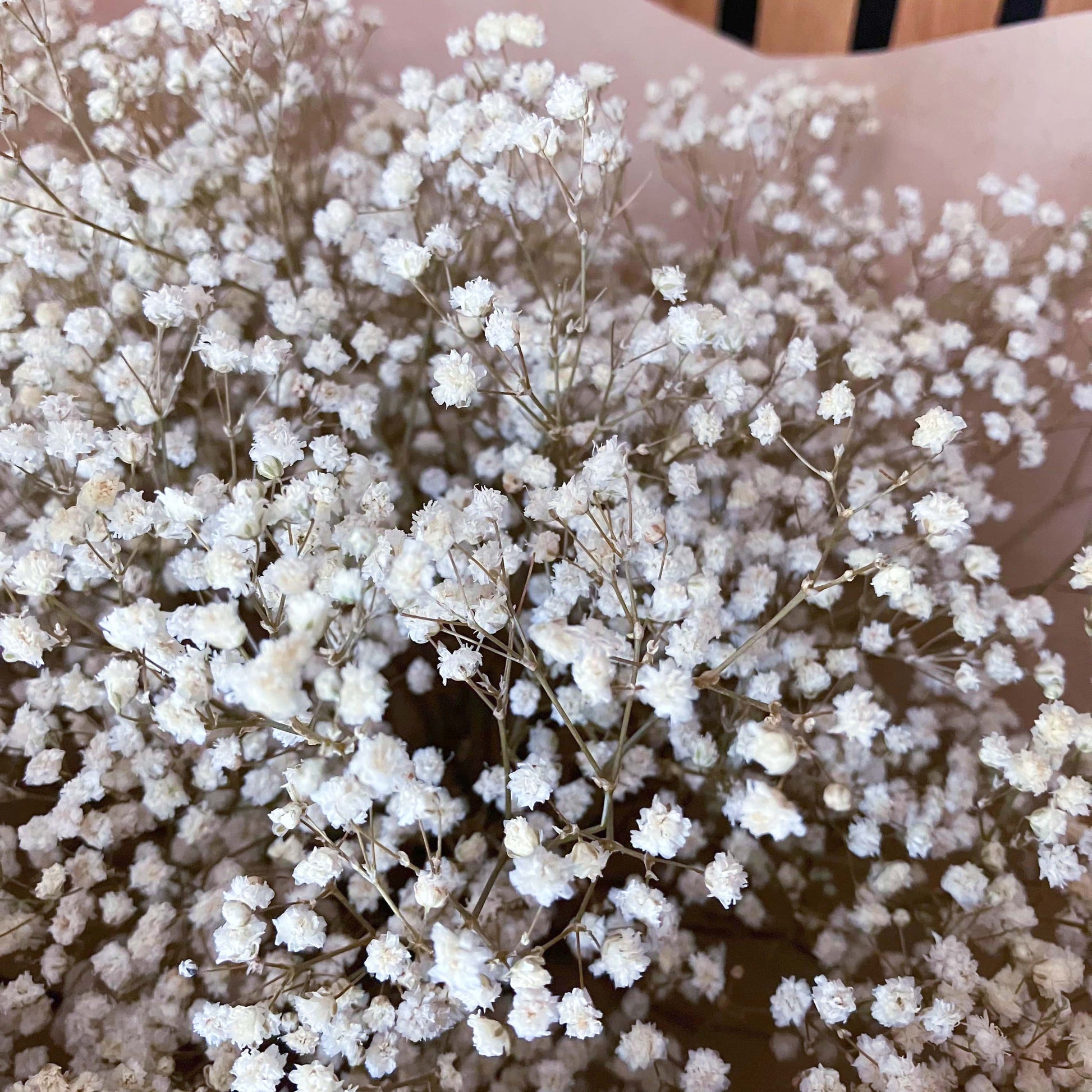 Kytice ze stabilizovaného nevěstina závoje přírodní bílá