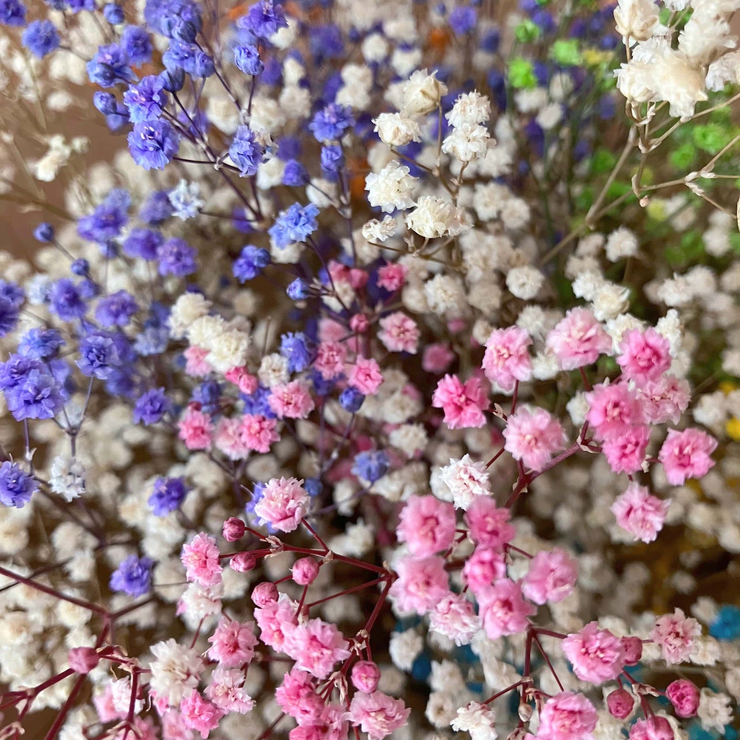 Kytice ze stabilizované gypsophily barevná