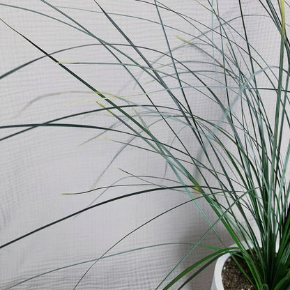 Stabilizovaná medvědí tráva v betonovém květináči