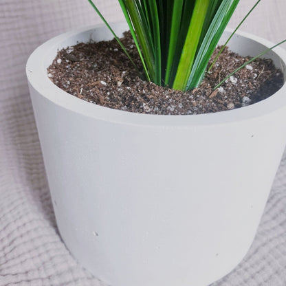 Stabilizovaná medvědí tráva v betonovém květináči