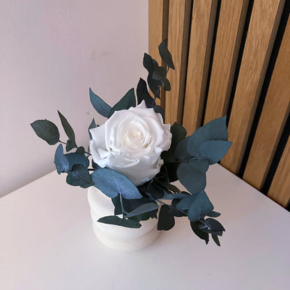 Růžová zahrada mini