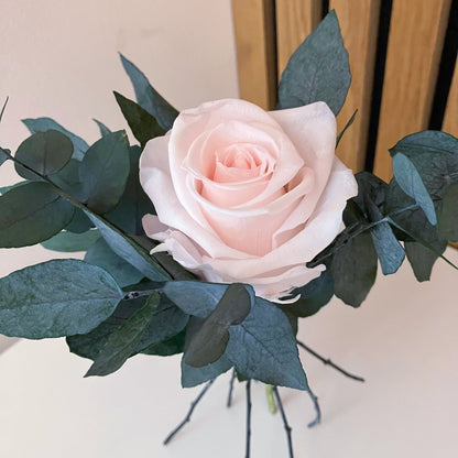 Růžová zahrada mini