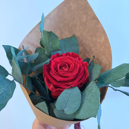 Růžová zahrada mini