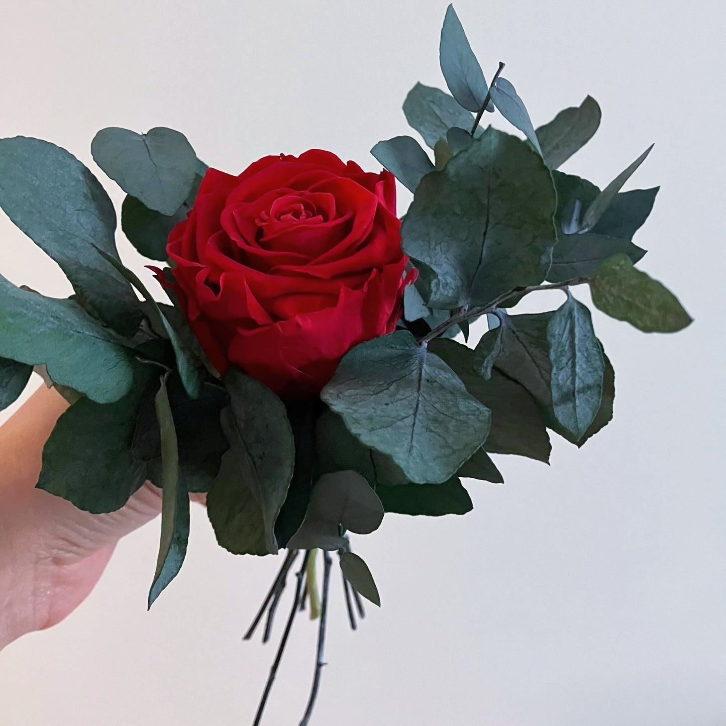 Růžová zahrada mini