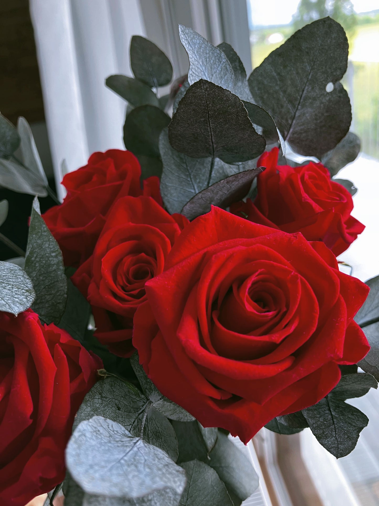 kytice ze stabilizovaných růží a eukalyptu